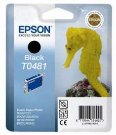  Epson T0481, 